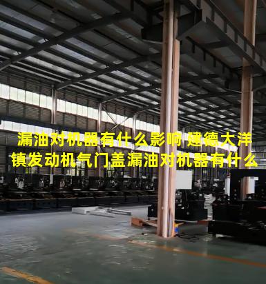 漏油对机器有什么影响 建德大洋镇发动机气门盖漏油对机器有什么影响